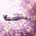 arcanum Ⅱ