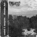 Moonshore