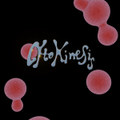 Cytokinesis