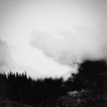 Volans Per Noctem