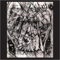 Mycelium Shroud
