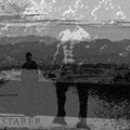 Starer
