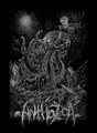 Anthozoa