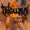 Embryonic Forms