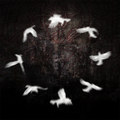 A Circle Of Crows (DEMO)