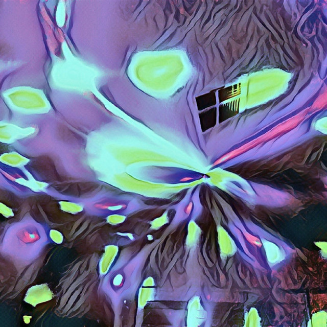 Surreality