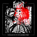 Hideous Symmetry