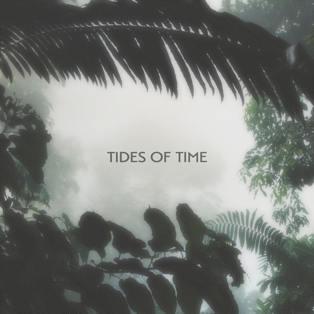 Jungle Weather