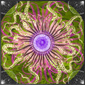 Unearthly Geometry
