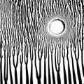 The Grimmrobe Demos // extended