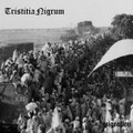 Migration