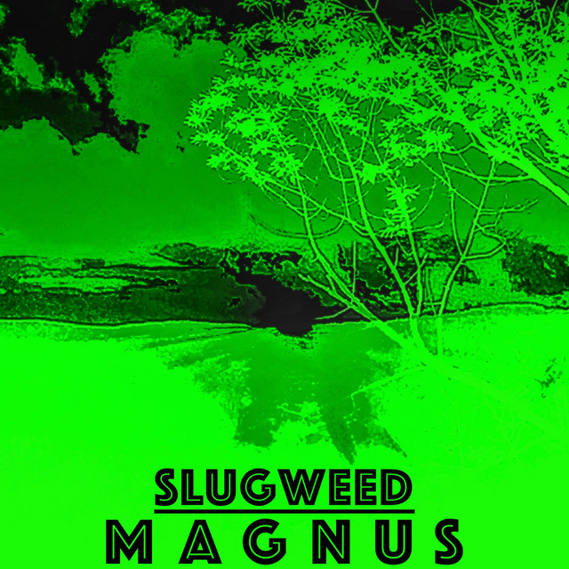 Magnus