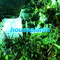Houseplants