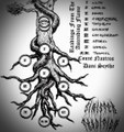 Readings From The Ascending Flame