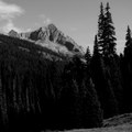 Alpine Expanse