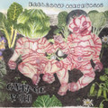 Cabbage Patch