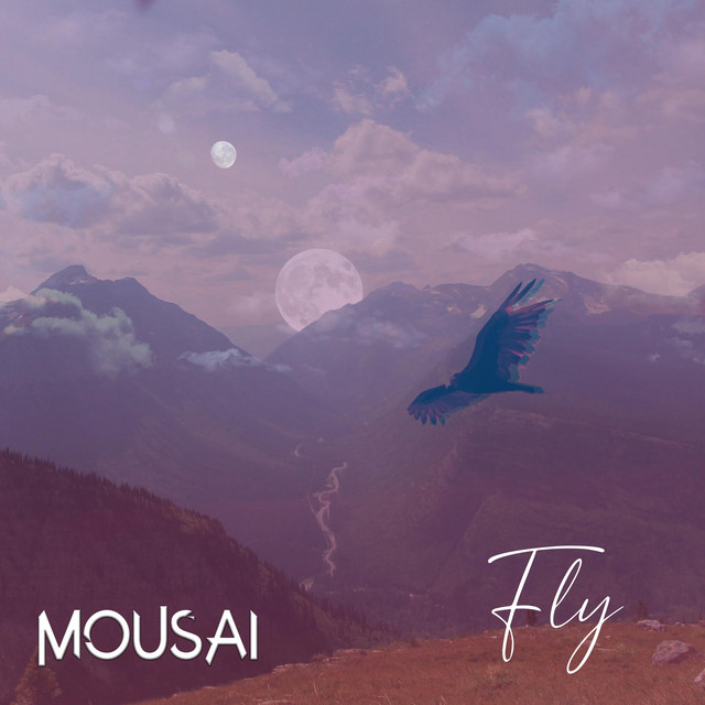 Fly