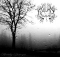 Mentally Destroyed...