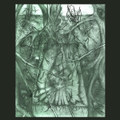 Mycelium Shroud (remastered and expanded)