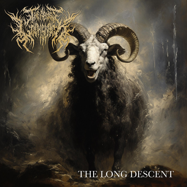 The Long Descent