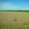 kino