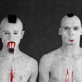 IM GEGENTEIL