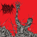 Beyond the Veil of Flesh