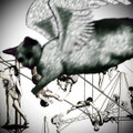Trapeze Act