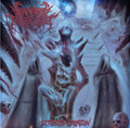 Dissected Creation