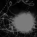 Wrath of the Heliocentric