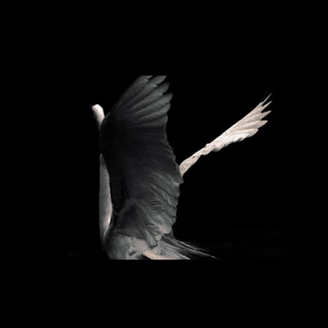 Sacred in the wreckage