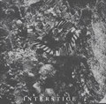Interstice