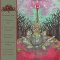 Saturnine Law