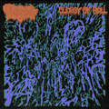 Split EP