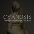 Wrongdoing Damages the Soul