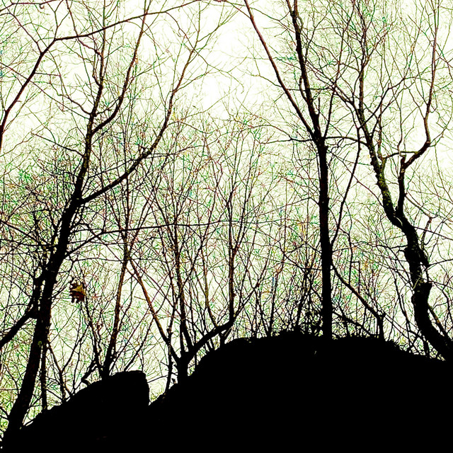 Hedge (EP)