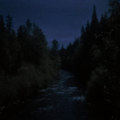 Over the Rivers and Through the Woods