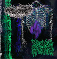 Redundant Protoplasm / / Hallucination Realized Split