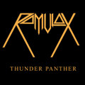 Thunder Panther