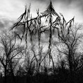 Blissful Lie - Fester