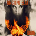Burn