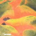 Lacuna