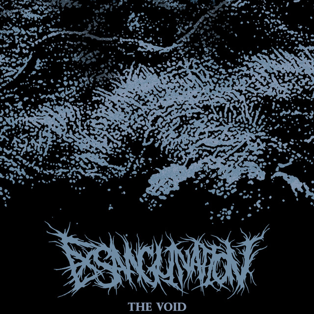 The Void