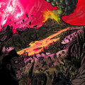 Primordium