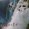 rodents