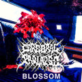 BLOSSOM