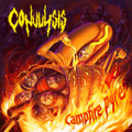 Campfire Pyre