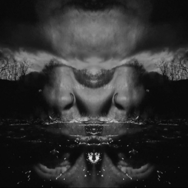 Subterranean Swarm