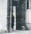 Parasite