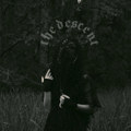 The Descent